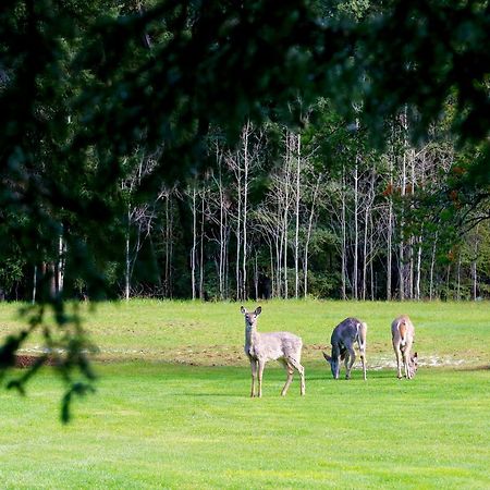 Sleepy Creek Country Manor Bed & Breakfast Bragg Creek ภายนอก รูปภาพ