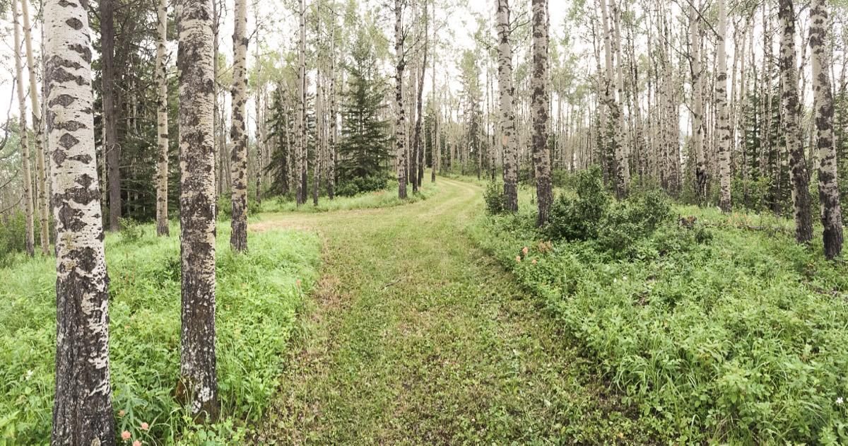 Sleepy Creek Country Manor Bed & Breakfast Bragg Creek ภายนอก รูปภาพ