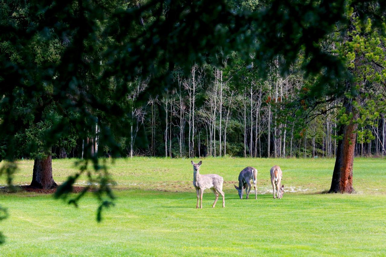 Sleepy Creek Country Manor Bed & Breakfast Bragg Creek ภายนอก รูปภาพ